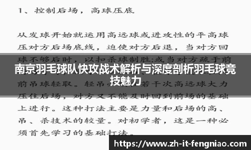 南京羽毛球队快攻战术解析与深度剖析羽毛球竞技魅力
